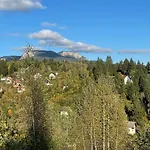 Starcevic * Pale